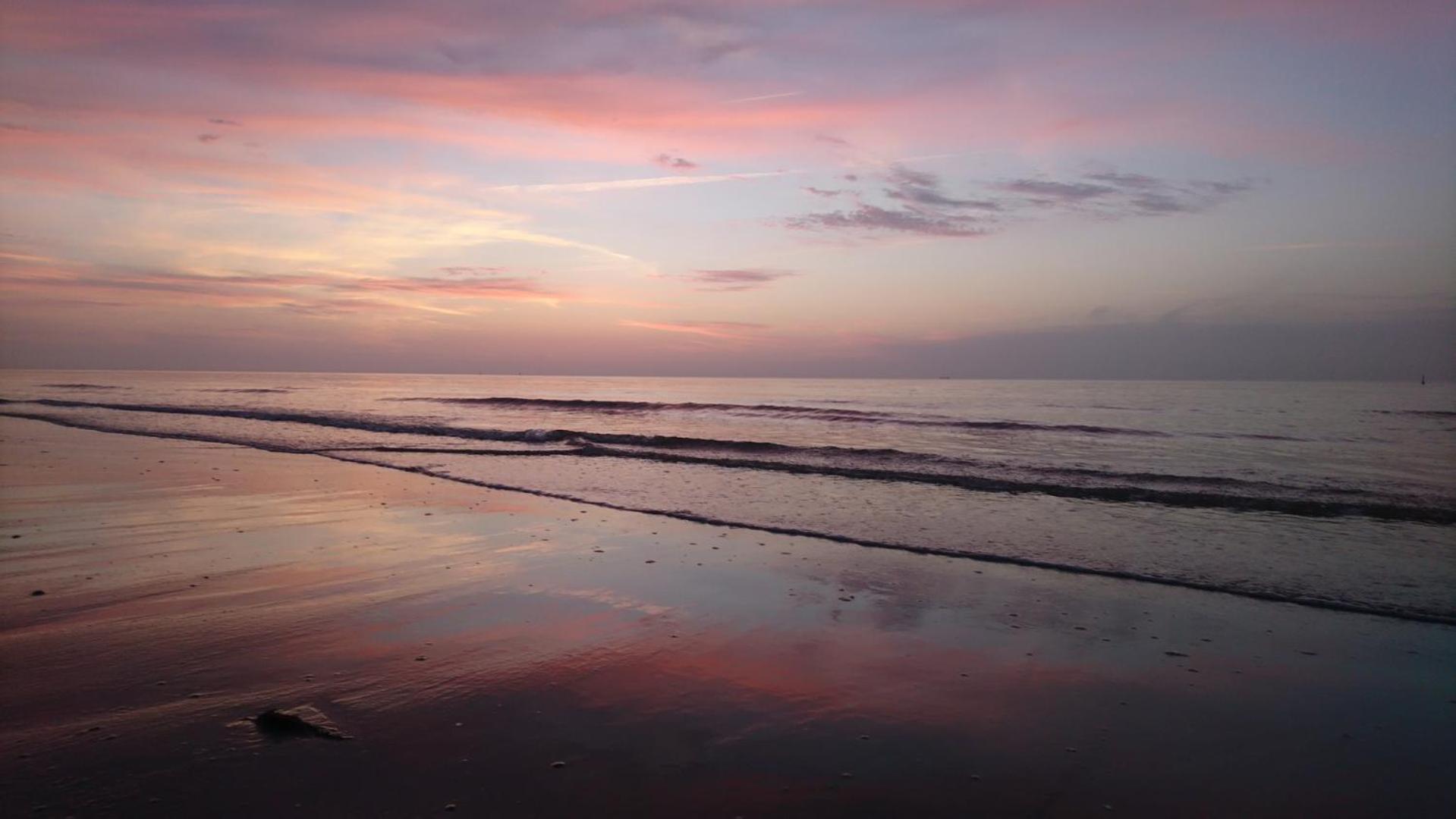 Haus Seeigel Strandflieder 노르데메이 외부 사진